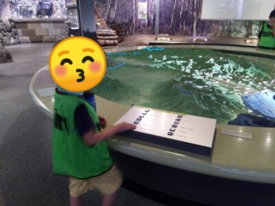 t 50 400x300 - ８月１２日　toiro本厚木