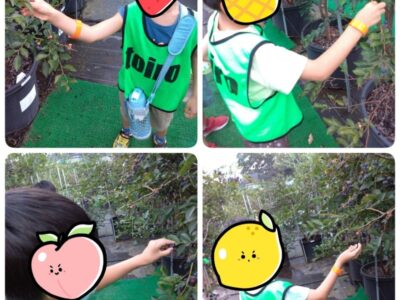 t 92 400x300 - 8/9（土）ブルーベリー狩り　toiro辻堂