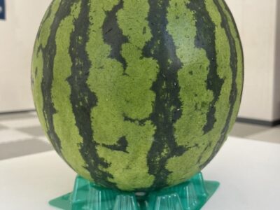 ♡8月9日toiro藤沢 第1教室♡ t 96 400x300 - ♡8月9日toiro藤沢 第1教室♡