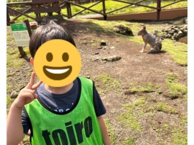 ~2024年8月17日 toiro藤沢第二教室~ 富士サファリパーク t 1 400x300 - ~2024年8月17日 toiro藤沢第二教室~ 富士サファリパーク