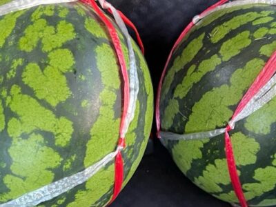 t 104 400x300 - 9月14日☆toiro川崎第2教室☆