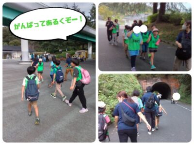 t 159 400x300 - 9月21日㈯　☆雪印こどもの国牧場へ行こう☆　toiro上矢部