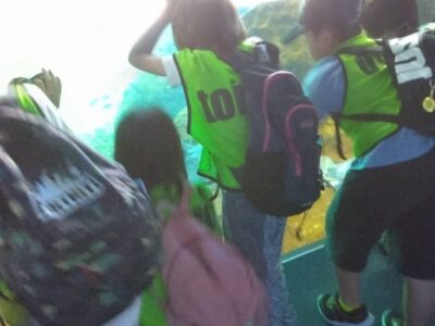 9月16日【toiro開成 第1教室】江ノ島水族館に行きました♪ t 198 400x300 - 9月16日【toiro開成 第1教室】江ノ島水族館に行きました♪