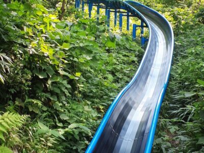 ☆9月7日(土)toiro天王町☆【四季の森公園で遊ぼう!】 t 41 400x300 - ☆9月7日(土)toiro天王町☆【四季の森公園で遊ぼう!】