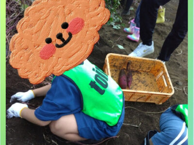 30bb0728efb04163a1d519ac52cc99d7 400x300 - 10/19（土）芋掘り　toiro辻堂