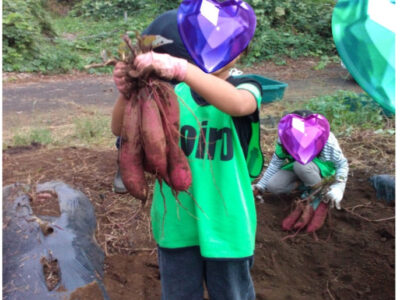 62ca42d8476133d9496aae52257c93ed 400x300 - toiro向ヶ丘遊園　10月6日(日)　お芋掘りに行こう！