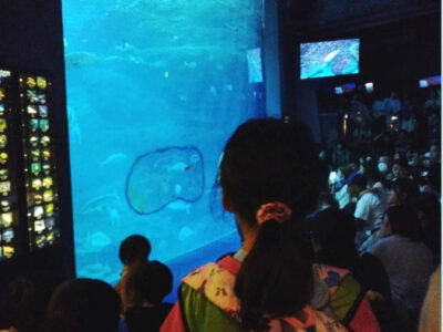 a93f06dabca498c9dca4d9db8db4b988 400x300 - 10月2４日(木)トイロ津久井　part54