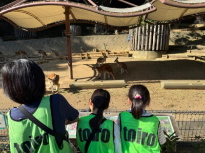 d427511f584b178041b63bc7aeacfa61 400x300 - 2024.10.14 toiro相模原第１教室 「多摩動物園」