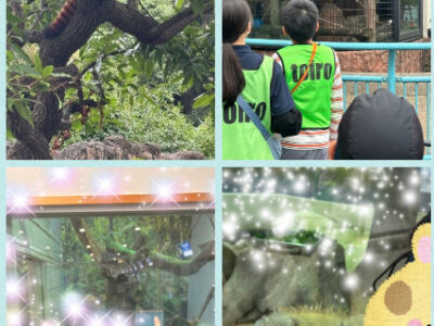 toiro天王町 2024/10/26 野毛山動物園 d6e32568045e2da40fff38c0343994f6 400x300 - toiro天王町 2024/10/26 野毛山動物園