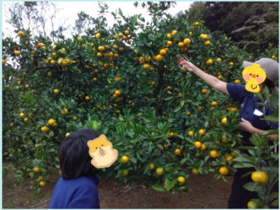 ♡10月19日(土) toiro藤沢 第2教室♡ d712fe2a097b82607b0e19289a3b42f5 400x300 - ♡10月19日(土) toiro藤沢 第2教室♡