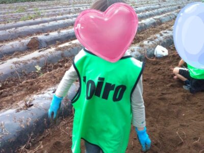 t 60 400x300 - toiro向ヶ丘遊園　10月6日(日)　お芋掘りに行こう！