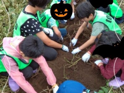 ☆10月6日(日)toiro天王町☆【お芋掘りに行こう!】 t 70 400x300 - ☆10月6日(日)toiro天王町☆【お芋掘りに行こう!】