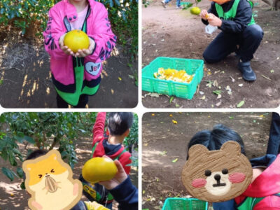 5758aefcdb9c9f6c93dcc6624af46a59 400x300 - 11月20日toiro逗子☆みかん狩り