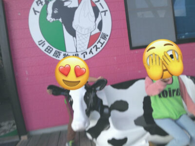 ca2b08720ec4d3e9c9d3f83f32b82d35 400x300 - ✴toiro小田原・第2教室✴　11月4日（月）『ジェラート屋さん』　