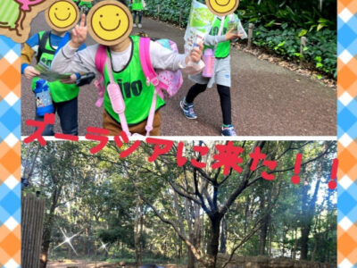 ⭐︎ toiro瀬谷 第二教室⭐︎2024/11/17 よこはま動物園ズーラシア cd38549555a6e46bca4681fb457abf25 400x300 - ⭐︎ toiro瀬谷 第二教室⭐︎2024/11/17 よこはま動物園ズーラシア