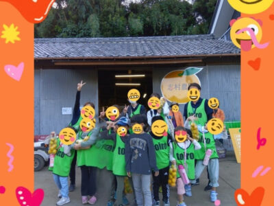 11月4日(月)toiro野比☆みかん狩りイベント☆ ff8621a29cc87fde7265958b8c94ffd1 400x300 - 11月4日(月)toiro野比☆みかん狩りイベント☆