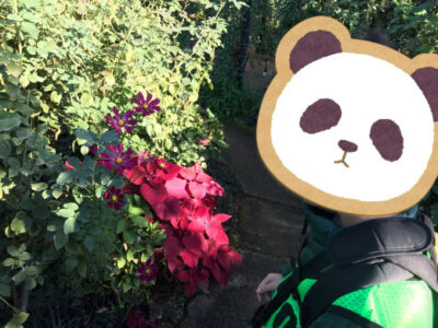 toiro都筑ふれあいの丘★イングリッシュガーデンへおでかけ★ 2a3a48220e92102e54f4285c0916d2ea 400x300 - toiro都筑ふれあいの丘★イングリッシュガーデンへおでかけ★