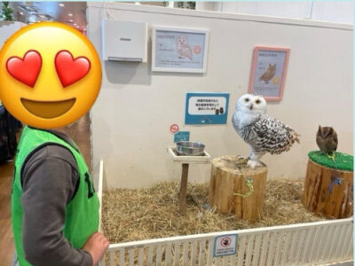 ◎12月7日(土) toiro東戸塚◎アニタッチへおでかけ 6aed8f63484c8cb0b9b9fd61f735e21d 400x300 - ◎12月7日(土) toiro東戸塚◎アニタッチへおでかけ