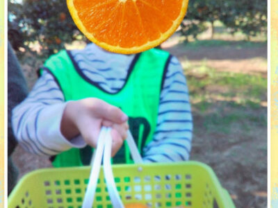 717e844268180182706f95a7c1275773 400x300 - 11/24（日）みかん狩り　toiro辻堂