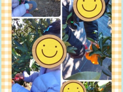 12月7日(土)☆toiro根岸☆ みかん狩り 8098ef464cbb662c079ec17237976a4c 400x300 - 12月7日(土)☆toiro根岸☆ みかん狩り