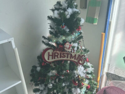 afd62c33a416f8a071b44963663c521d 400x300 - 12月1日　toiro本牧　チキンライス&クリスマスの飾り付け