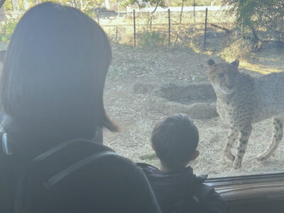 ea2f27f84459d1130c10b28a5d73e64c 400x300 - 12月14日　toiro南林間　第一教室