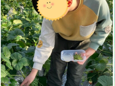 2e5d21145e46710e07372784636ac13f 400x300 - 1月26日（日）　toiro 大津　⭐️いちご狩り⭐️