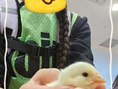 8ff0d5eabe303944345f180bb96dd532 400x300 - 2025.01.27 toiro新吉田