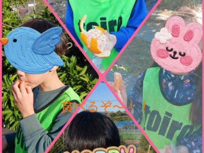 9773ed1b4b1eaf761c9ac7324af301d4 400x300 - ♪toiro白楽・第1教室♪「みかん狩りへ行こう！」