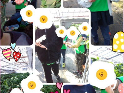 2025.1.18☆toiroいずみ中央☆ 「いちご狩り」の巻 a24086d7a5bdd1388bd61354628694c7 400x300 - 2025.1.18☆toiroいずみ中央☆ 「いちご狩り」の巻