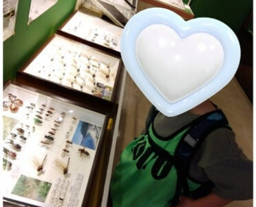 1db1017f29ffc3940e21d32c3d5b3d57 372x300 - 2月15日(土) toiro三浦海岸　☆観音崎自然博物館☆