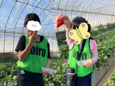 5a39d48fcd4ec0095a8f837aa5b03e9e 400x300 - 2025年2月9日(日)☆いちご狩り☆