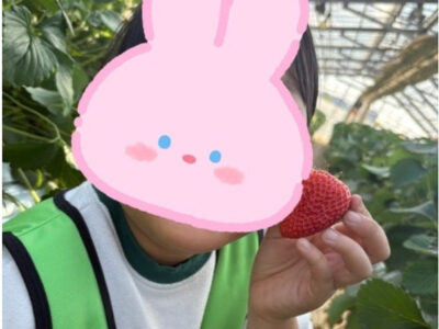 07ba8c9f95f2c707c2caf518b6609f96 400x300 - 3月9日　toiro本牧 【イチゴ狩り】