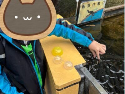 62ddf623ed9de66165b0fbfe1bf609bd 400x300 - 3月16日(日)　トイロ南林間　第一教室