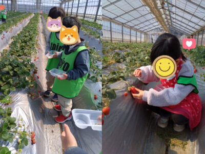 7550be677edd6883d687efb5b2d5c2c6 400x300 - 3月9日toiro逗子☆いちご狩り