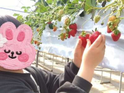 8ae3198267419934b8acab137acd0d56 400x300 - 2月24日(月)toiro向ヶ丘遊園 ☆いちご狩り☆第2弾！