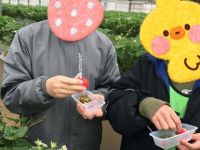 8e57ae9cf28386ea2277599150e24875 400x300 - ☆2025.03.27☆いちご狩り♪