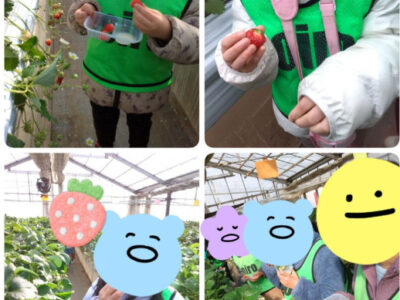 3月8日(土)★toiro根岸★ いちご狩りに行こう! b276baf6da8441350ea1b509c35961d8 400x300 - 3月8日(土)★toiro根岸★ いちご狩りに行こう!