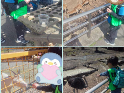 c87dc38c573b47c5b23577da20004d36 400x300 - ☆３月２０日☆♨toiro湯河原♨「アニマルキングダム」