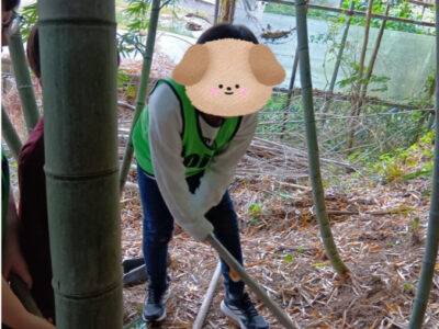 07ec8b98f5e2d181effba6831508a0af 400x300 - ✴toiro小田原✴ たけのこ狩りに行きました！