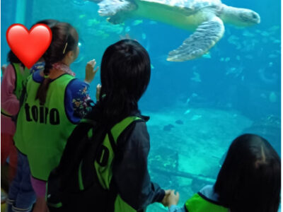 toiro小田原☆箱根園水族館 081331c189ae75d12748bbdcd08986a2 400x300 - toiro小田原☆箱根園水族館