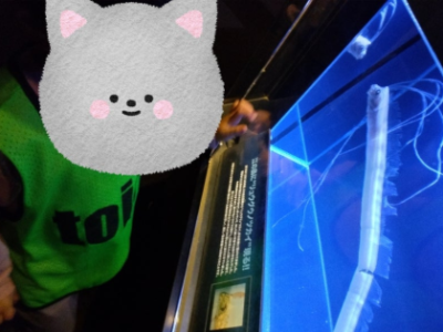 5月10日 toiro辻堂 江の島水族館 0f4c272ef532c5a8143322c9a6af158c 400x300 - 5月10日 toiro辻堂 江の島水族館