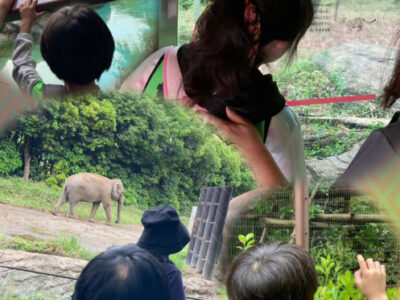 5月25日(日) トイロ大津 ☆「動物園に行こう」☆ 38d5cb41afc16d40cc51370b4edde9d1 400x300 - 5月25日(日) トイロ大津 ☆「動物園に行こう」☆