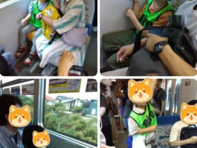 ⭐︎toiro大船 5月18日 (日) 江ノ島散策 b8e48c0b05fc9fb696c7d2c9268715a7 400x300 - ⭐︎toiro大船 5月18日 (日) 江ノ島散策