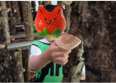 toiro小田原☆しいたけ狩りに行きました 17c532c9210be3c73e736a116469211d - toiro小田原☆しいたけ狩りに行きました