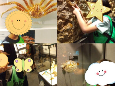 ☆5月24日.Sat☆トイロ茅ヶ崎☆ 378c7b597597bf7303c956fda0d043c7 400x300 - ☆5月24日.Sat☆トイロ茅ヶ崎☆