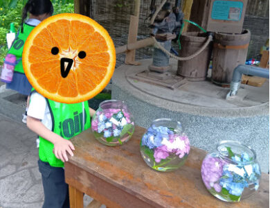 toiro小田原☆あじさいまつりに行きました 76dc1a915ff4ba39d942b7f054f51701 390x300 - toiro小田原☆あじさいまつりに行きました