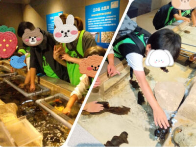 5月24日 トイロ逗子☆すいぞくかん a2c12f912417cf7c40d44611f90d781a 400x300 - 5月24日 トイロ逗子☆すいぞくかん