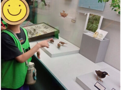 6月14日  ☆toiro小田急相模原☆『相模原市立博物館』 b4d89f5a80763c48a848d8a2f701c2d0 400x300 - 6月14日  ☆toiro小田急相模原☆『相模原市立博物館』