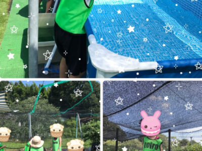 186c6c00cb046df9121aad6fa0002b20 400x300 - 6月22日(日)トイロ秦野☆ブルーベリー狩り☆